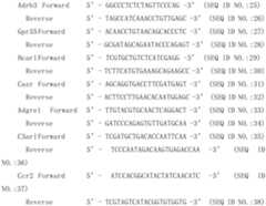 Figure PCTCN2020086807-appb-000005