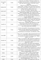 Figure PCTCN2022090268-appb-000089