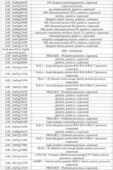 Figure PCTCN2022090268-appb-000002