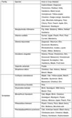 Figure imgf000031_0001