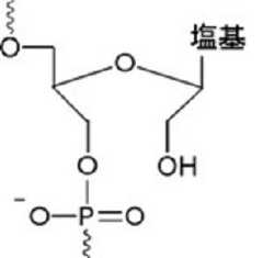 Figure 2023521094000004