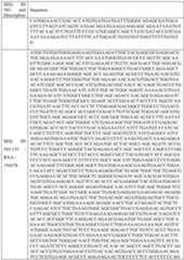 Figure imgf000084_0001