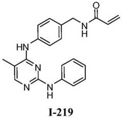 Figure BDA0001453135130003022