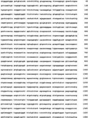Figure imgb0700