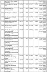 Figure imgf000437_0001