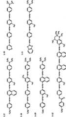 Figure G2010100029919D00221