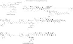 Figure US12187810-20250107-C00060