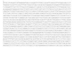 Figure imgf000026_0002