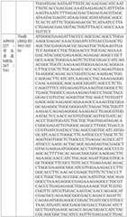 Figure BDA0004033970230005211