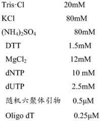 Figure GDA0002574430190000052