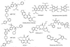 Figure imgf000010_0002