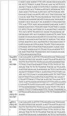 Figure BDA0004033970230004941