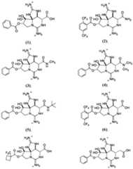 Figure imgf000129_0002