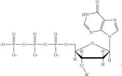 Figure US10260094-20190416-C00005