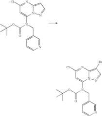 Figure US07119200-20061010-C00701