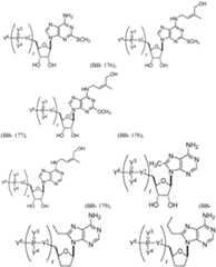 Figure imgf000163_0001