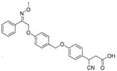 Figure imgf000003_0001
