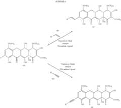 Figure US06846939-20050125-C00013