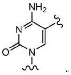 Figure BDA0003670511740001564