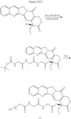 Figure US08475781-20130702-C00043