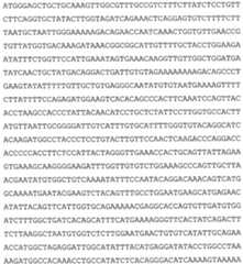 Figure 112020024997108-pat00004