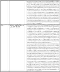 Figure imgf000338_0001