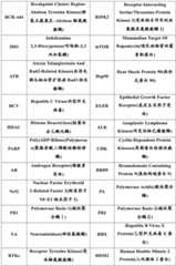 Figure BDA0002642358900000641