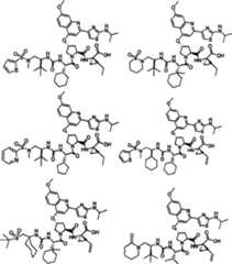 Figure A2004800399470021C1