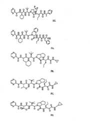 Figure G2009101493490D00981