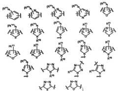 Figure 112007011503269-PCT00035