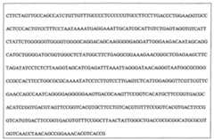 Figure 108128641-A0202-12-0266-923