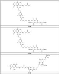 Figure imgf000077_0001