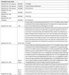Figure imgf000223_0001
