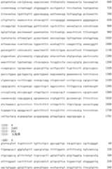 Figure IDA0002728416920000091