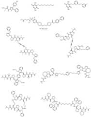 Figure imgf000036_0001