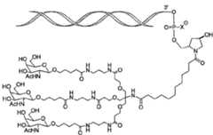 Figure 107123784-A0305-02-0246-10