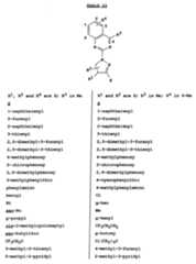 Figure imgf000144_0001