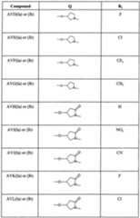 Figure imgf000103_0001