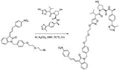 Figure BDA0003027048450003491