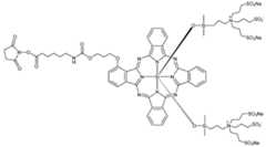 Figure imgf000081_0001