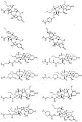 Figure BDA0002889616220000731