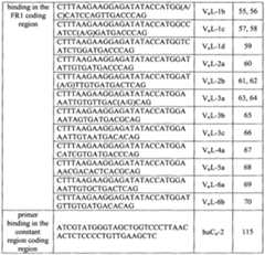 Figure imgf000035_0001