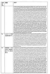 Figure 108117572-A0202-12-0197-94