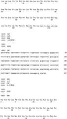 Figure RE-ISB0000195685460001381