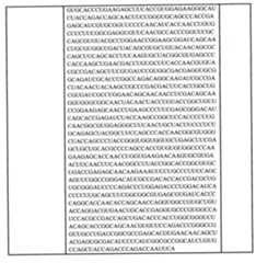 Figure 0007438604000003