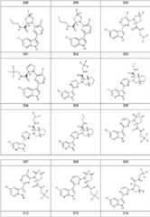 Figure FDA0000106649170000341