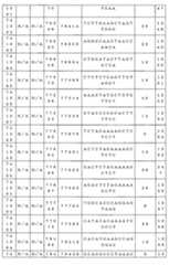 Figure 0007646616000142