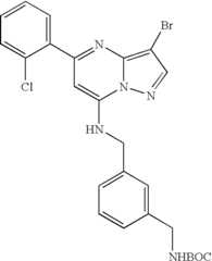 Figure US07119200-20061010-C01356