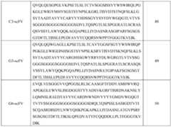 Figure PCTCN2020117268-appb-000013