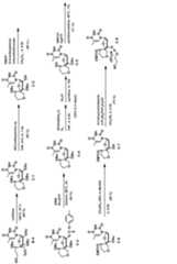 Figure JPOXMLDOC01-appb-C000036